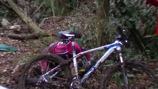 02287_Capture_2.jpg